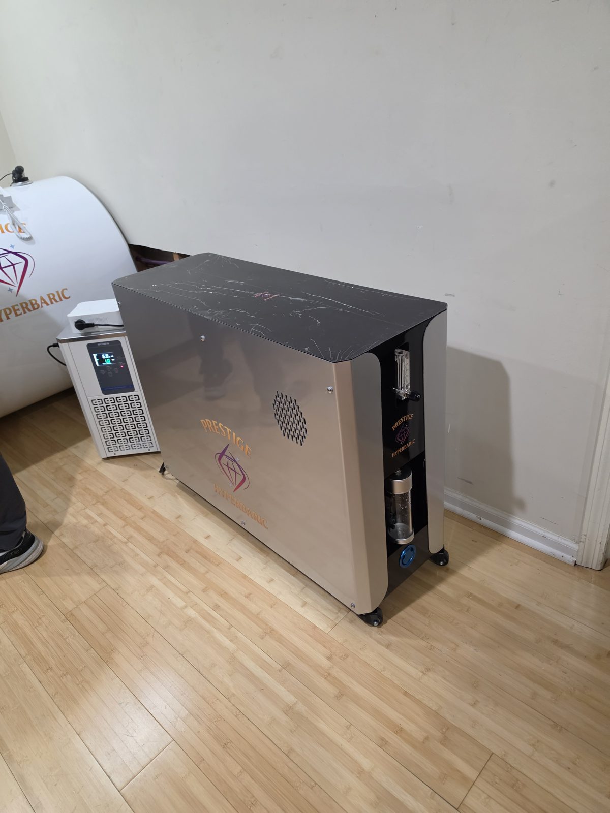Prestige system cabinet placed beside the chamber