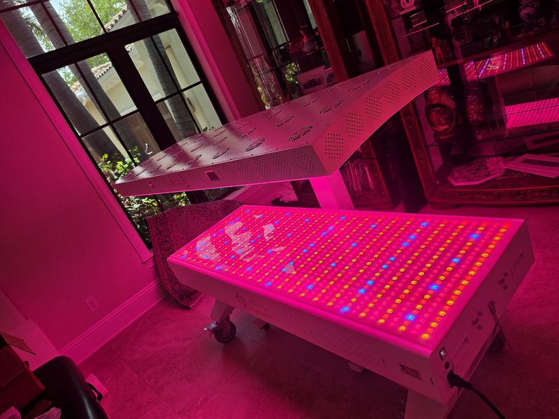 Prestige Pro Modular 9-Wavelength Red Light Therapy Bed — Walter, St. Petersburg, FL
