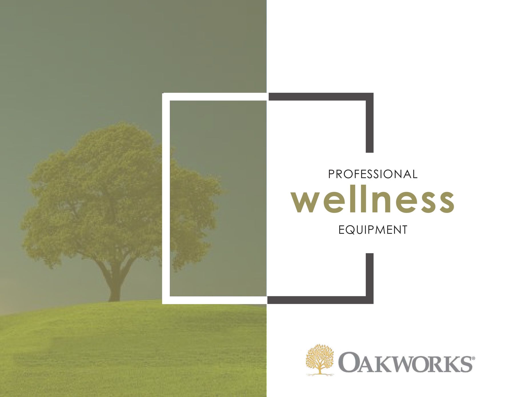 PROFESSIONAL wellness EQUIPMENT