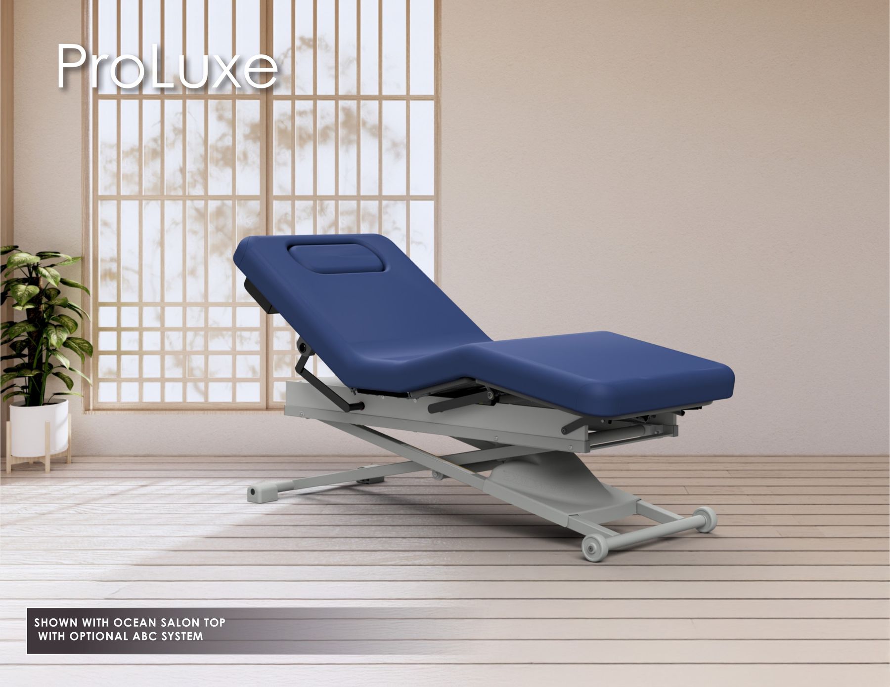 ProLuxe SHOWN WITH OCEAN SALON TOP WITH OPTIONAL ABC SYSTEM